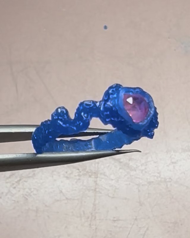 Side profile of the final blue wax ring held in tweezers, showing the organic band and the pink sapphire